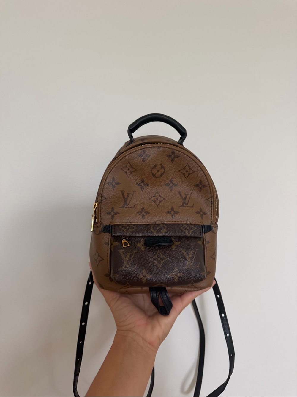Louis Vuitton Palm Springs Monogram Mini Backpack